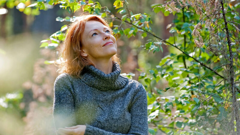 Achtsame Waldspaziergänge – mehr Gelassenheit und Energie im Alltag