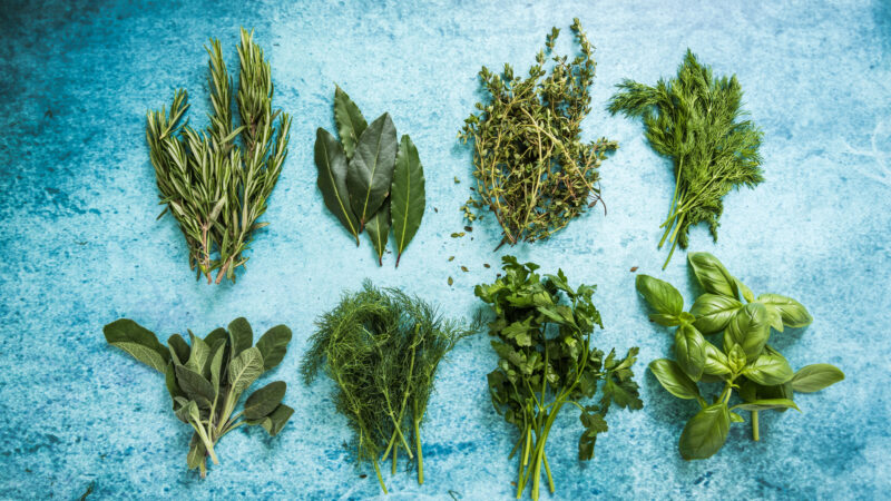 Kräuter vom Fensterbrett: Tipps für frisches Grün für frische Rezepte, die du kennen solltest