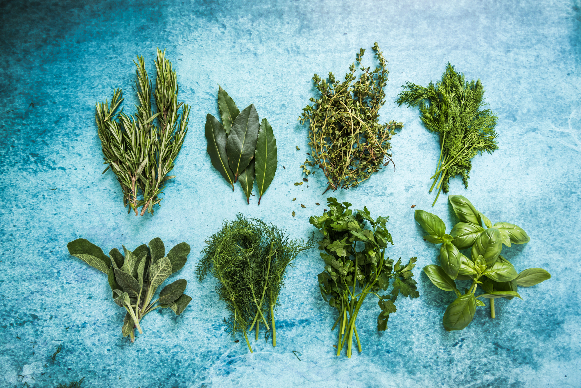 Kräuter vom Fensterbrett: Tipps für frisches Grün für frische Rezepte, die du kennen solltest